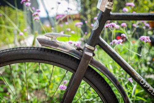 Geschwungenes Schutzblech am Hinterrad eines dunklen Vintage-Rads zwischen lila Blüten